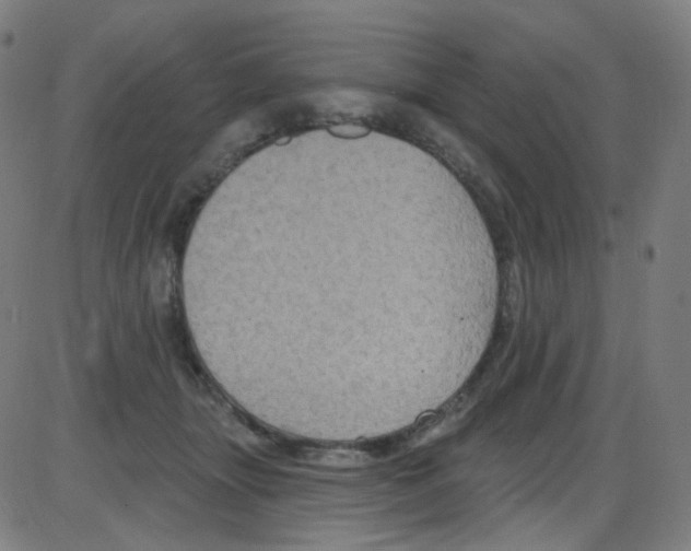 X0000084050463200703161901