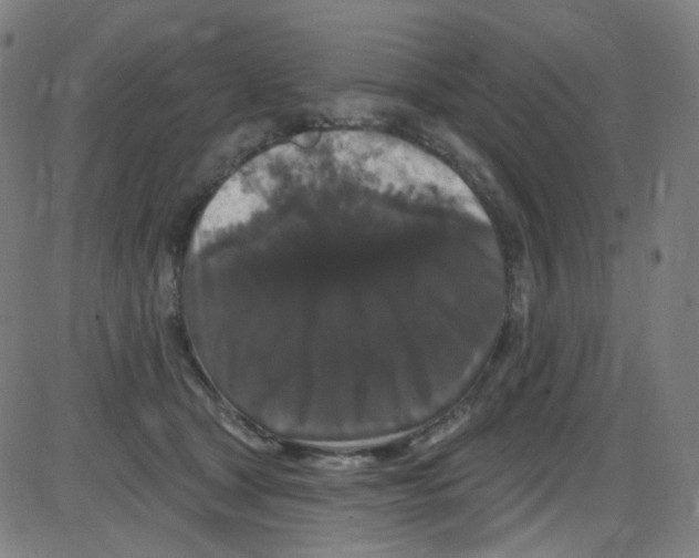 X0000084050465200703161901