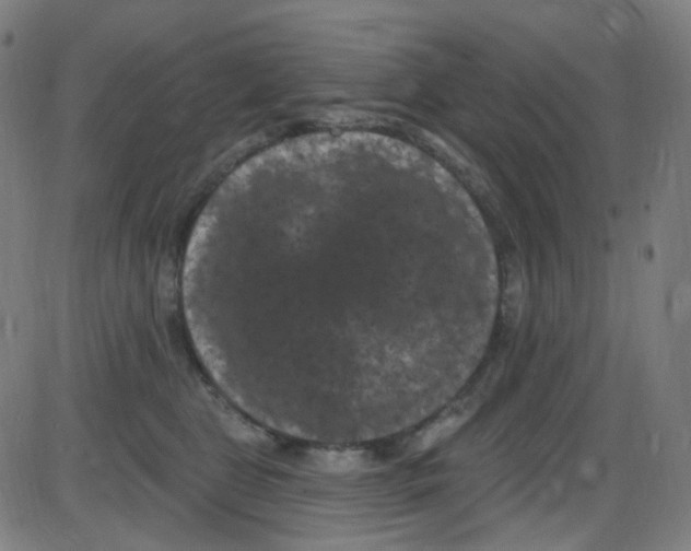 X0000084050469200703161901