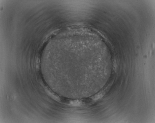 X0000084050470200703161901