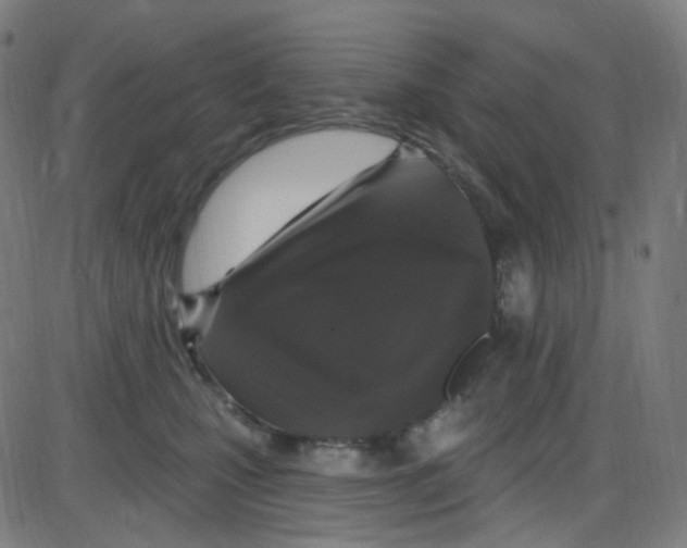 X0000084050471200703161901