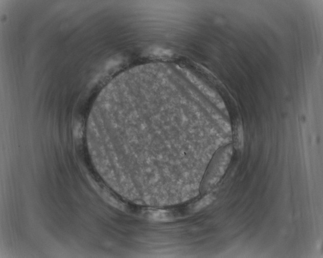 X0000084050472200703161901