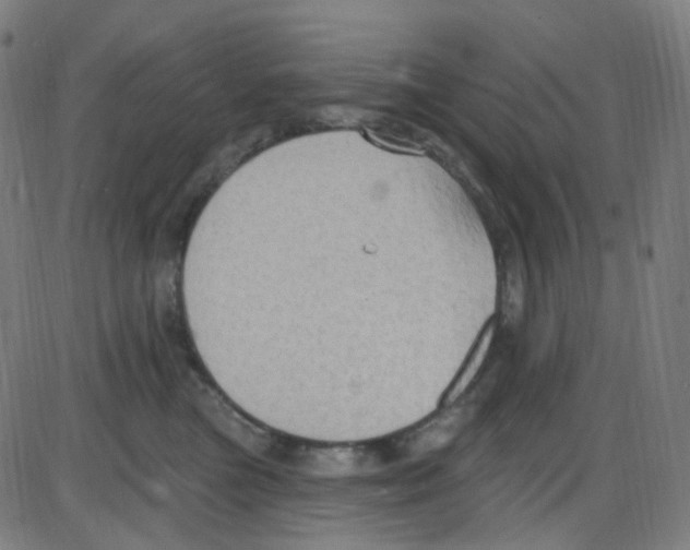 X0000084050473200703161901