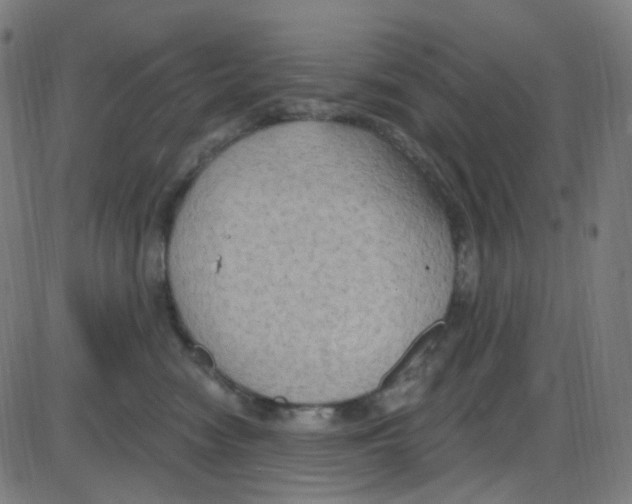 X0000084050474200703161901