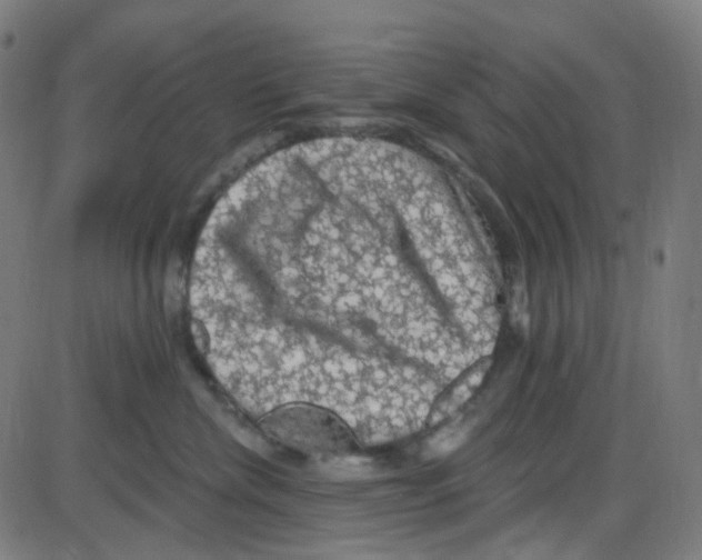 X0000084050476200703161901