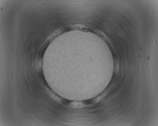 X0000084050477200703161901