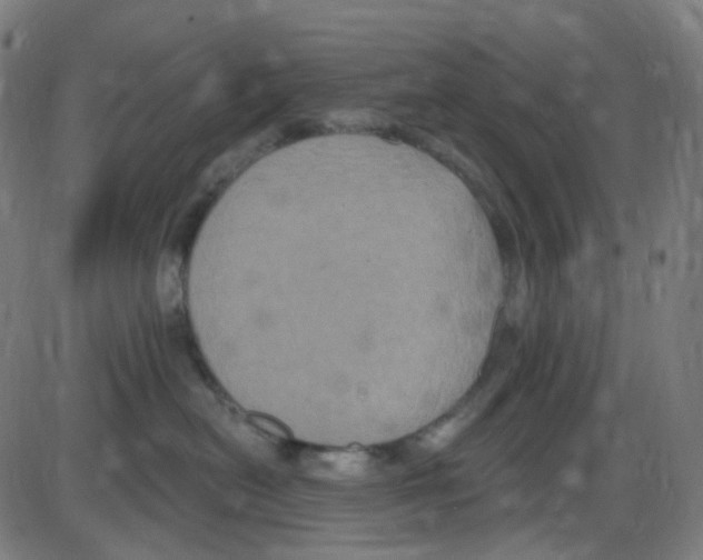 X0000084050478200703161901