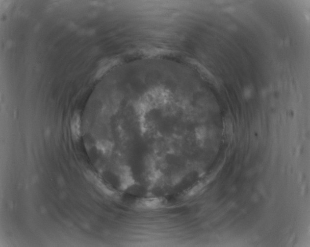 X0000084050479200703161901