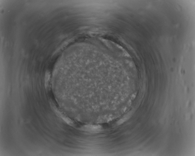 X0000084050480200703161901