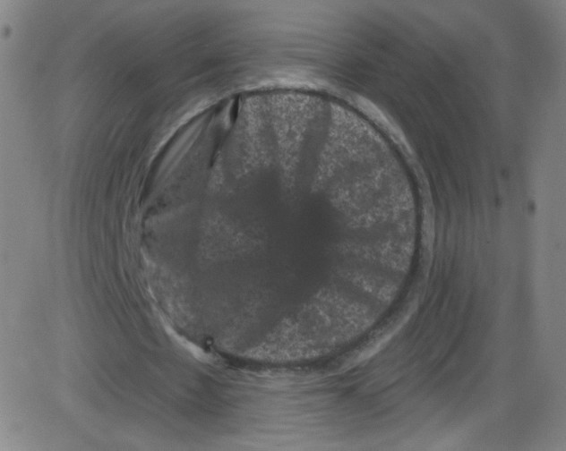 X0000084050481200703161901