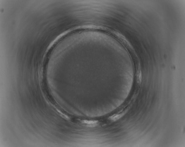 X0000084050484200703161900