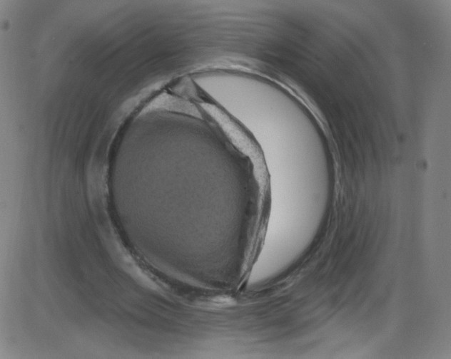 X0000084050485200703161900