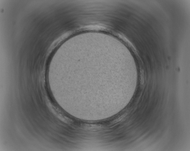 X0000084050486200703161900