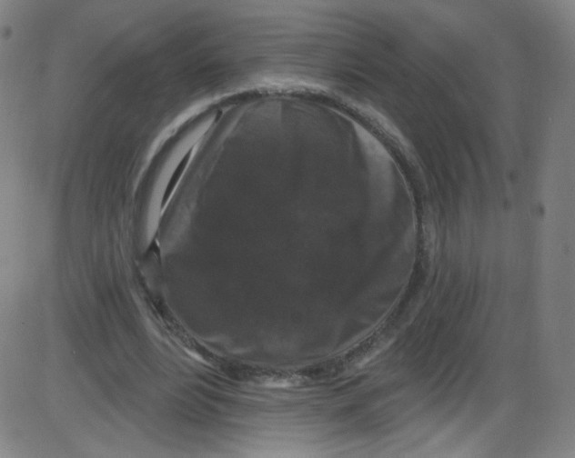 X0000084050488200703161900