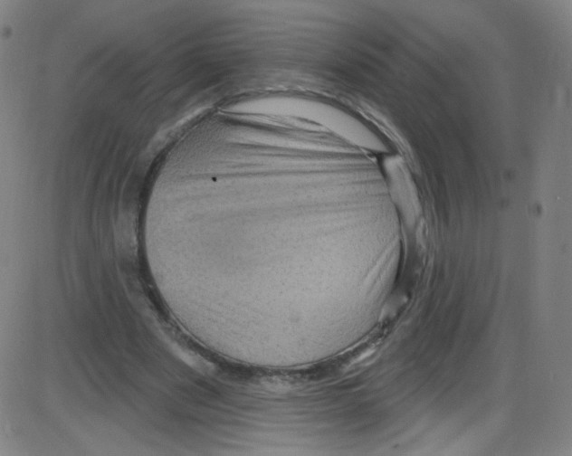 X0000084050489200703161900