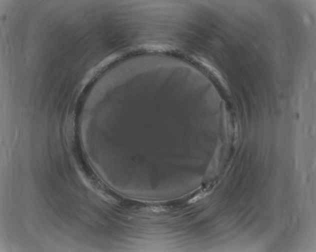 X0000084050492200703161900