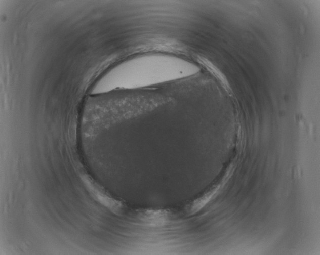 X0000084050493200703161900