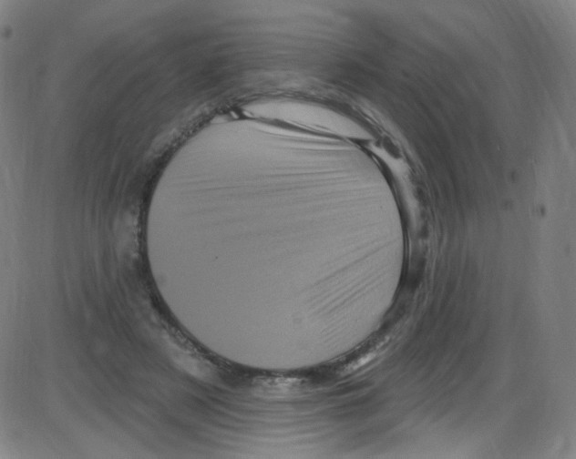 X0000084050497200703161900