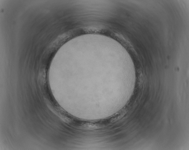 X0000084050498200703161900