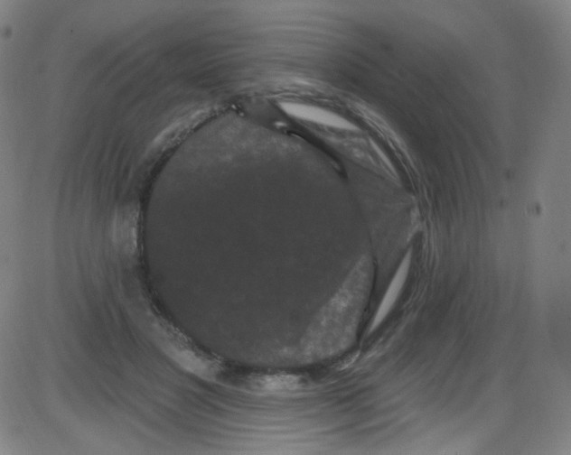 X0000084050501200703161900