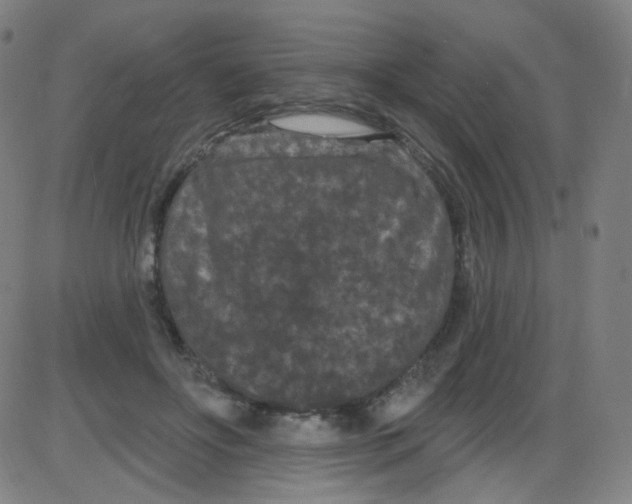 X0000084050502200703161900