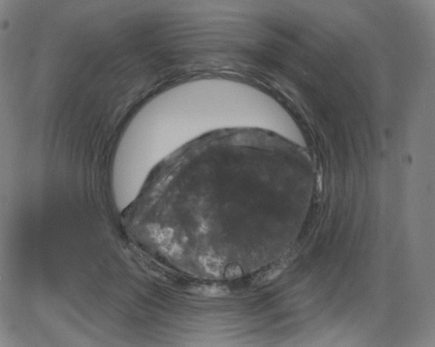 X0000084050503200703161900