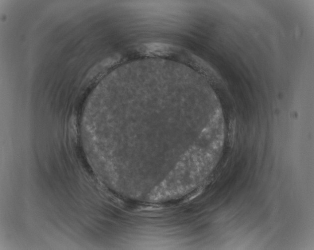 X0000084050506200703161900