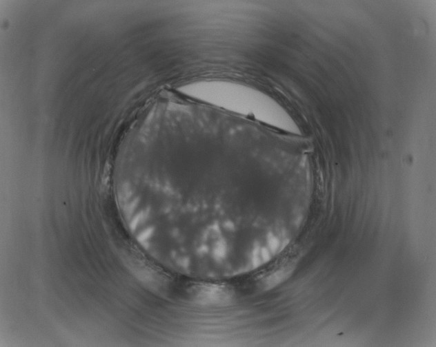 X0000084050507200703161900