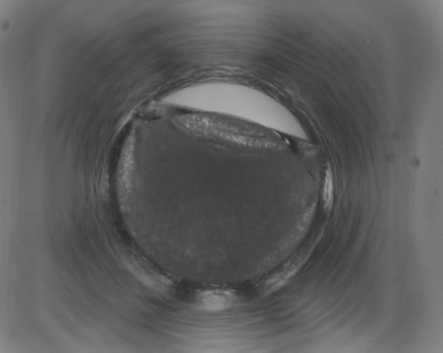 X0000084050508200703161900