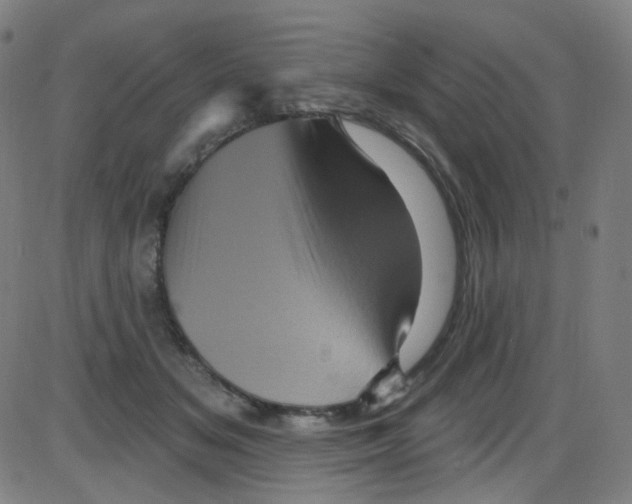 X0000084050509200703161900