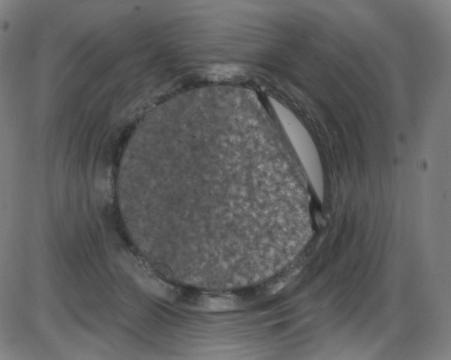 X0000084050510200703161900