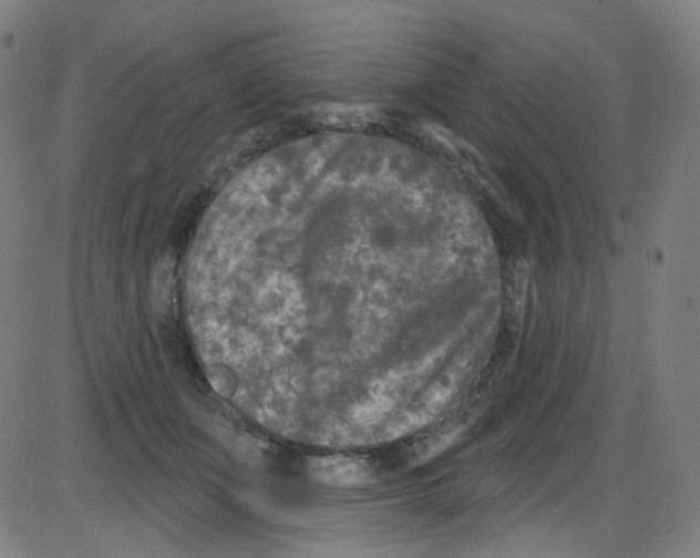 X0000084050511200703161900