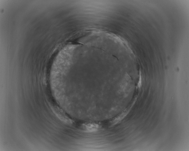 X0000084050512200703161900