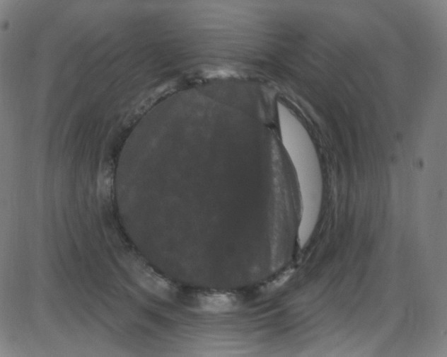 X0000084050513200703161900