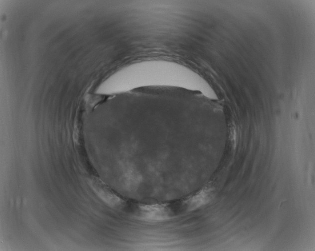 X0000084050516200703161900