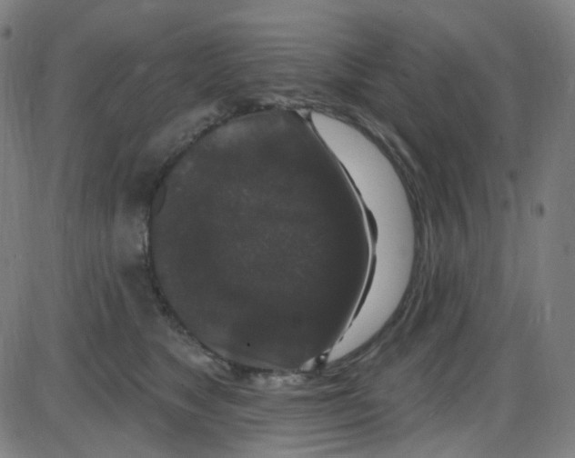 X0000084050517200703161900