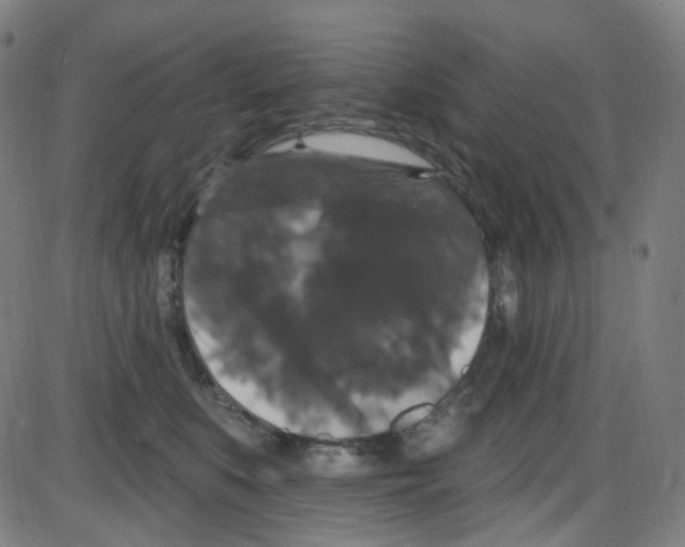 X0000084050519200703161900