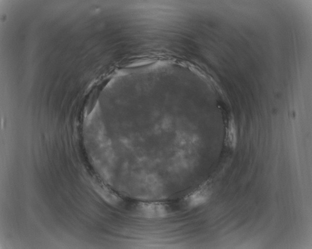 X0000084050520200703161900