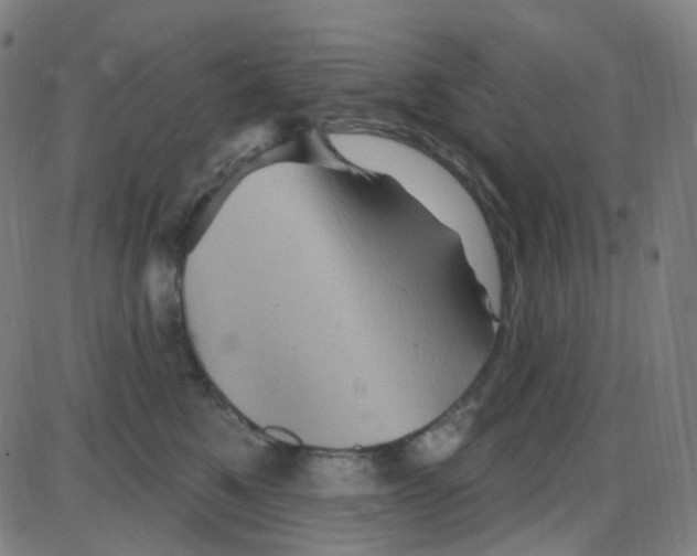 X0000084050521200703161900