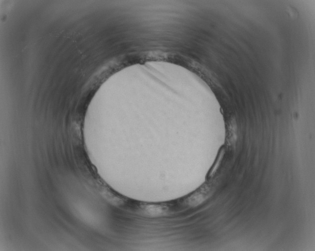 X0000084050522200703161900