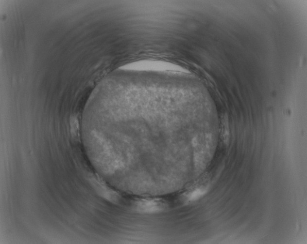 X0000084050523200703161900