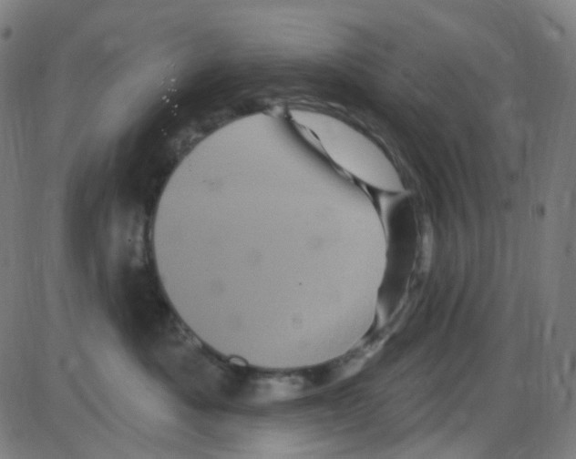 X0000084050525200703161900