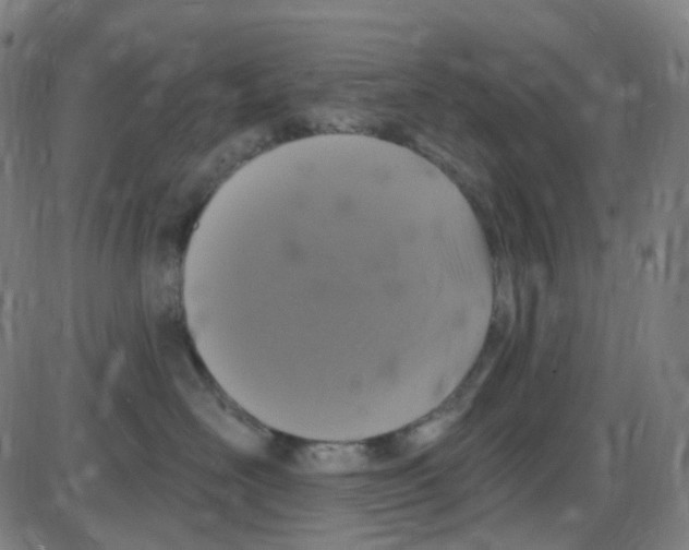 X0000084050526200703161900