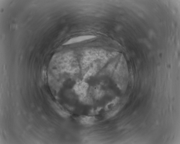 X0000084050527200703161900