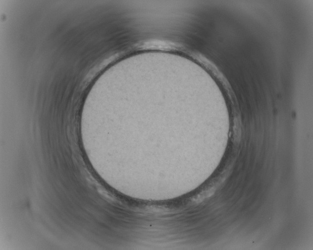 X0000084050529200703161859