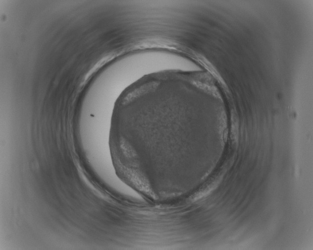 X0000084050530200703161859