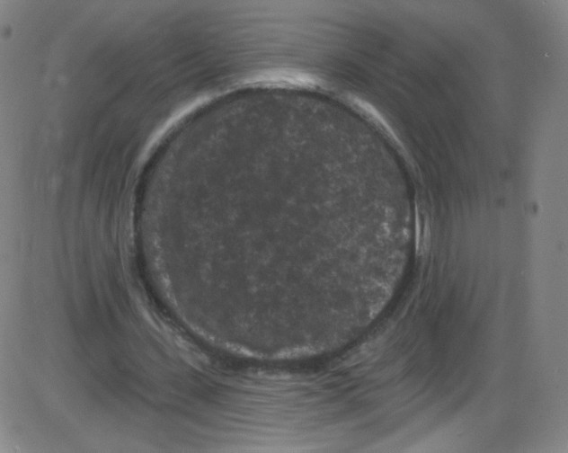 X0000084050531200703161859