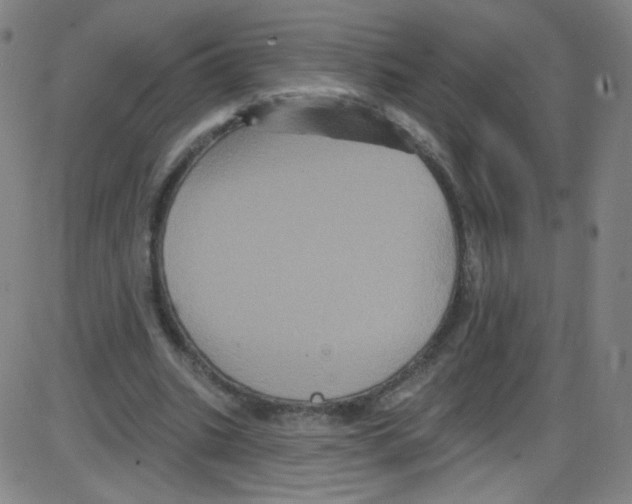 X0000084050535200703161859