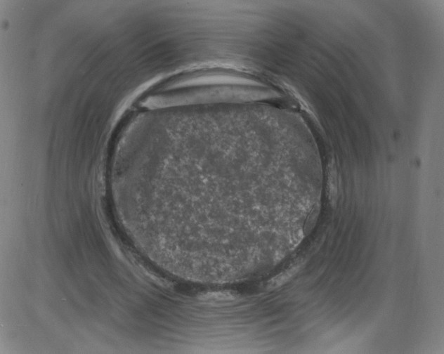 X0000084050536200703161859