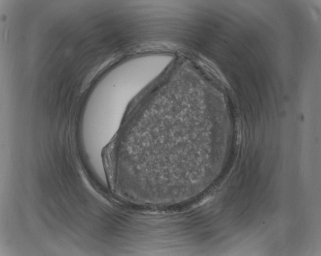 X0000084050538200703161859